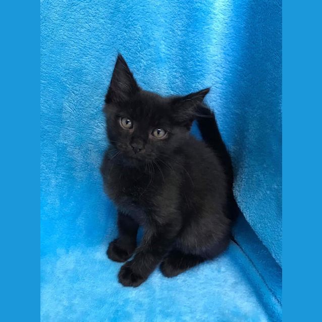 Photo of Bernard