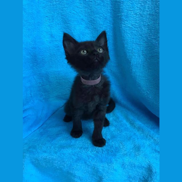 Photo of Rowena 