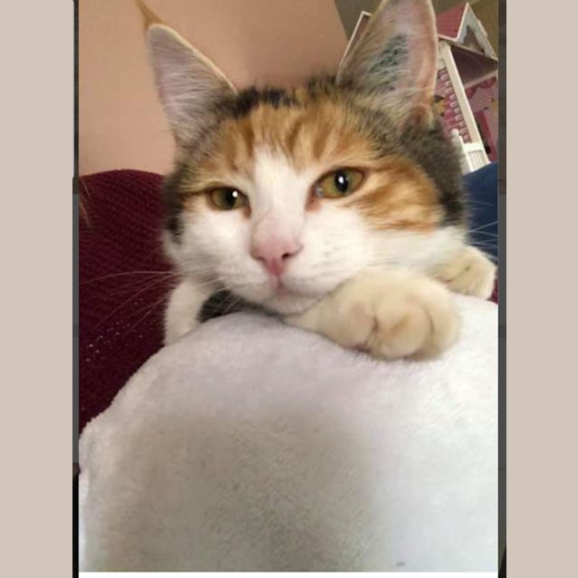 Photo of Heidi