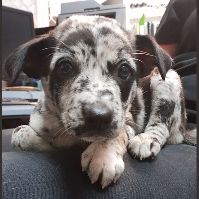 Photo of Jada