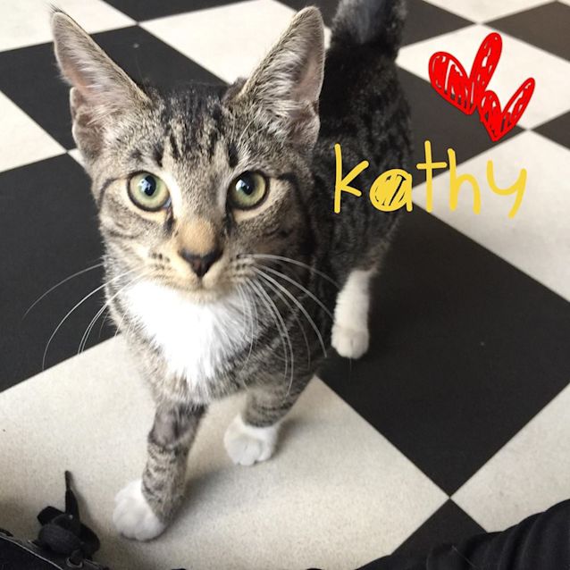 Photo of Kathy   Meet Me Saturday @Best Friends, Thomastown