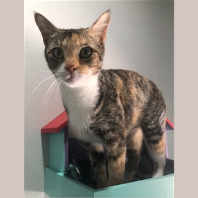 Photo of Tess