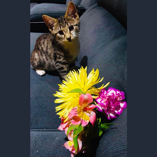 Photo of Bonny And Boots 