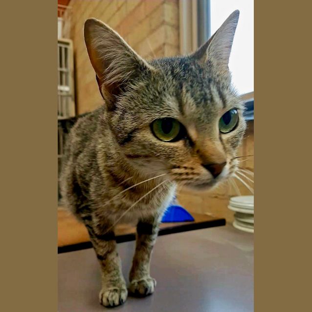 Photo of Cinders