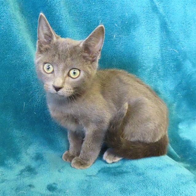 Photo of Zippy
