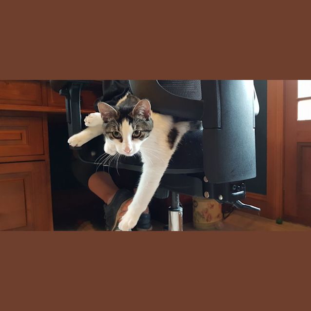 Photo of Edgar