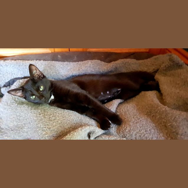 Photo of Artemis