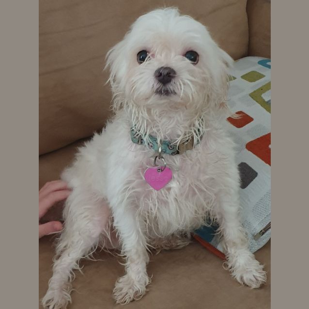 Photo of Jessie A Sweet Litte Lady 