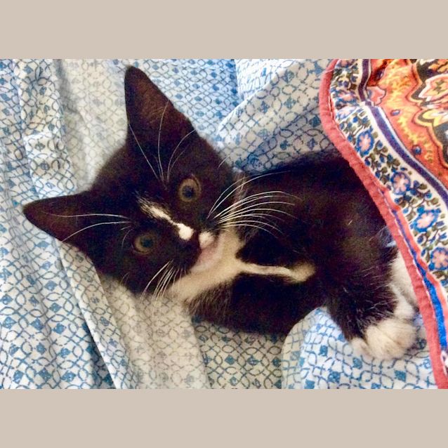 Photo of Squiggle 