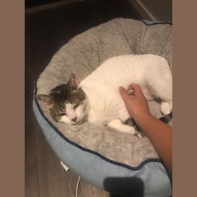Photo of Zoe