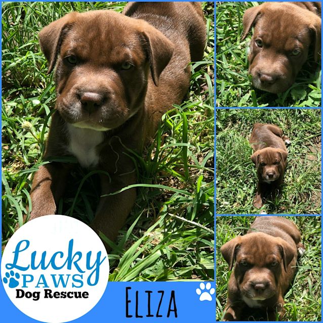 Photo of Eliza