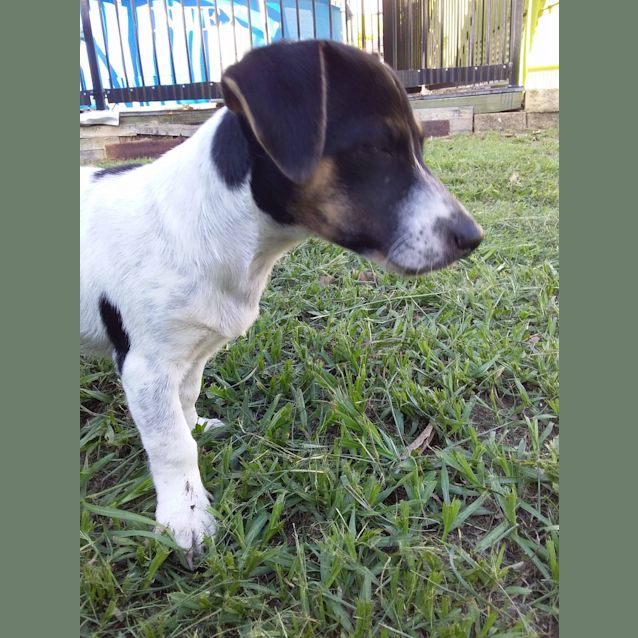 Photo of Buttons 
