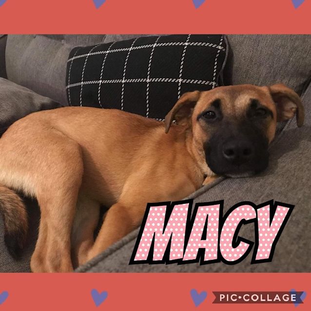 Photo of Macy