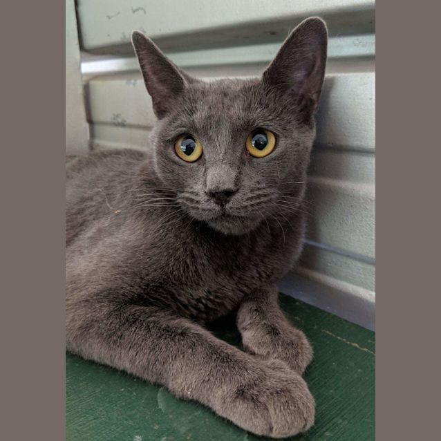 Photo of Cleo