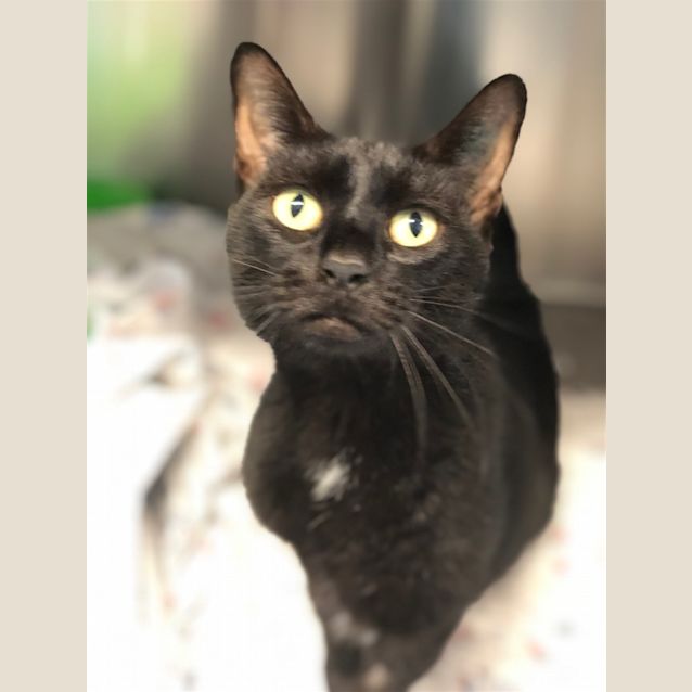 Photo of Tina
