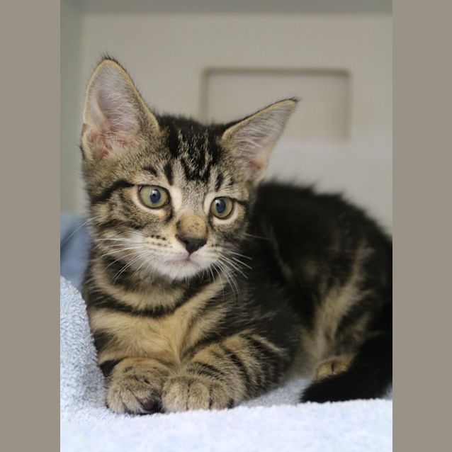 Photo of Edmond