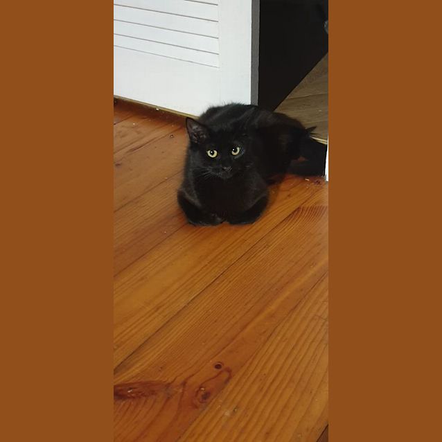 Photo of Sabrina