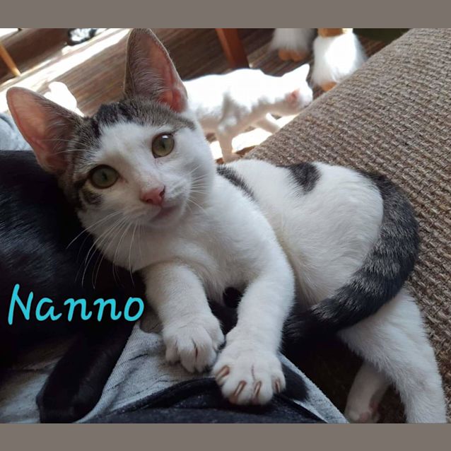 Photo of Nanno