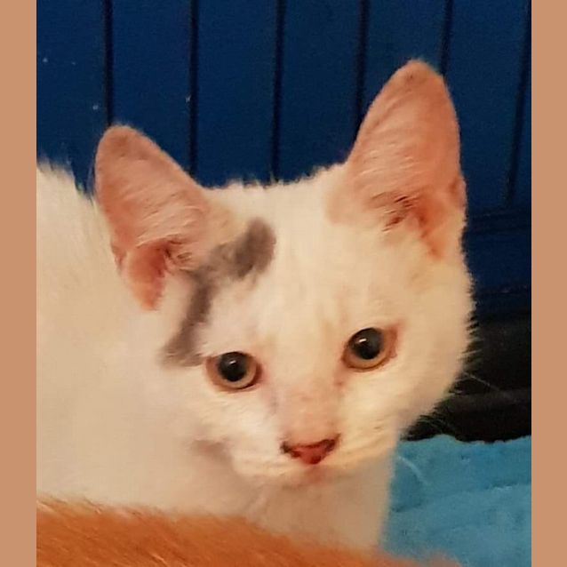 Photo of Elsa