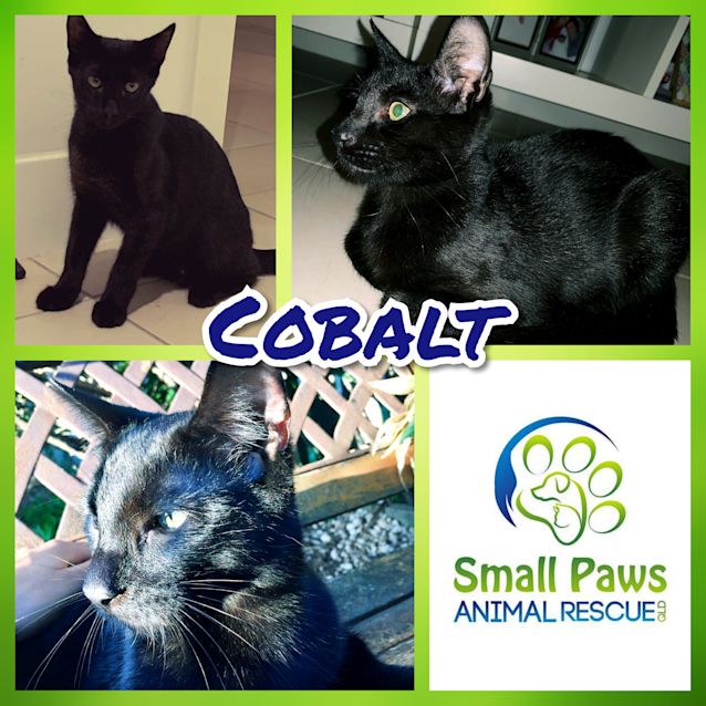 Photo of Cobalt