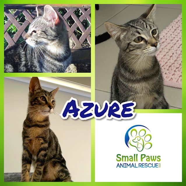 Photo of Azure