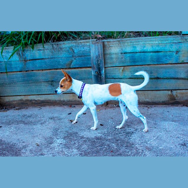 Photo of Molly