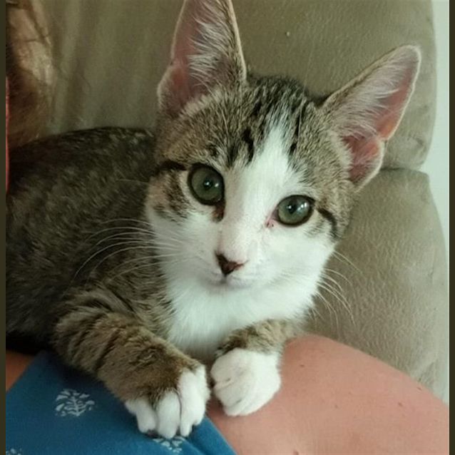 Photo of Tonks