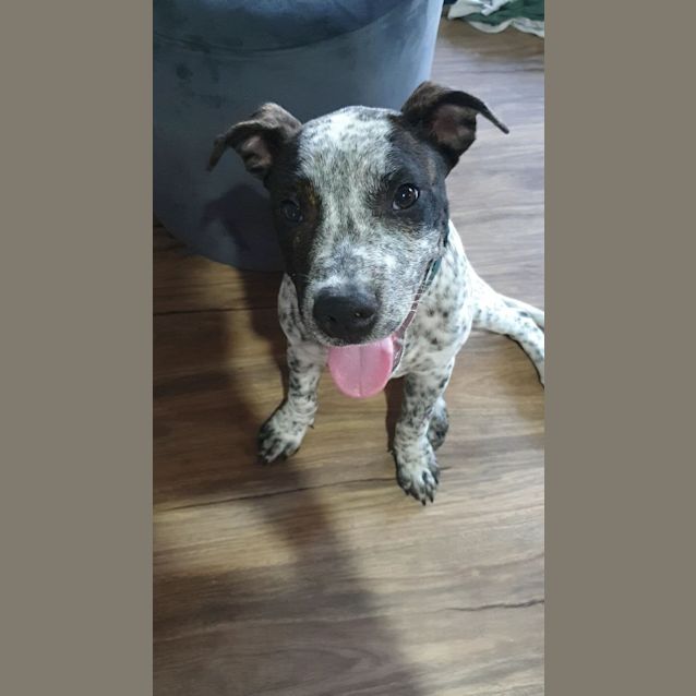Photo of Hudson 