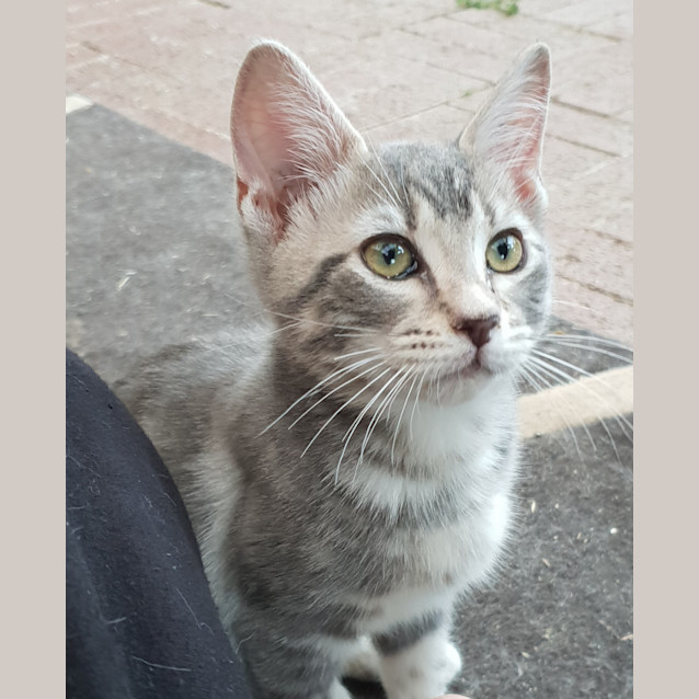 Photo of Zoe And Sebastian