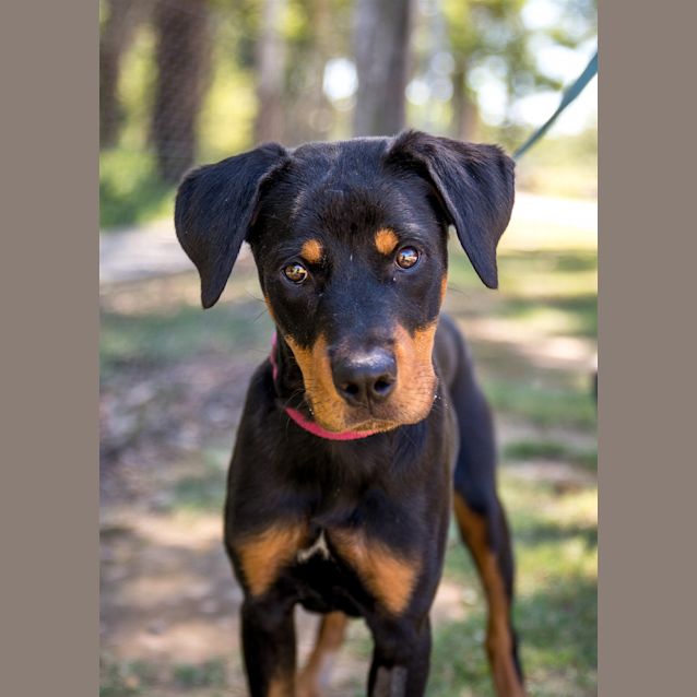 Photo of Betty