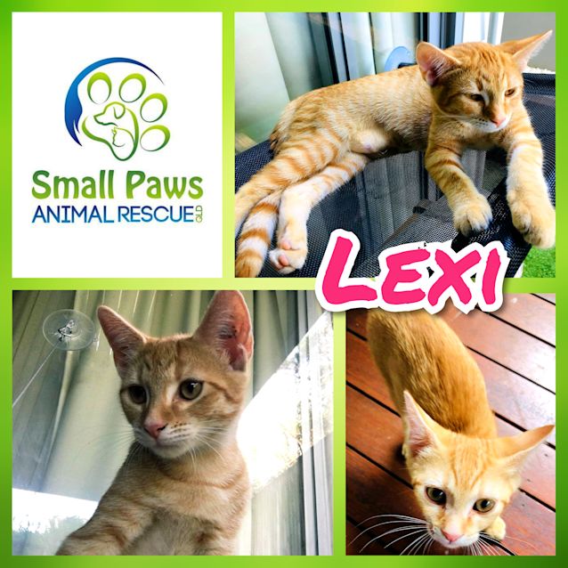 Photo of Lexi