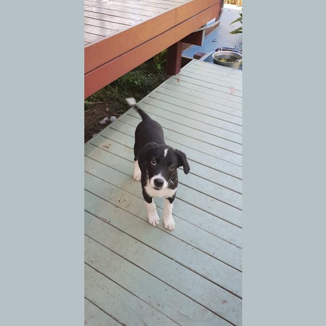 Photo of Tucker
