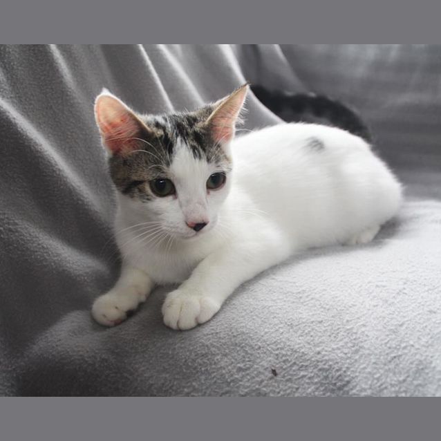 Photo of Sunny
