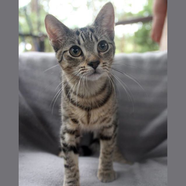 Photo of Breeze 