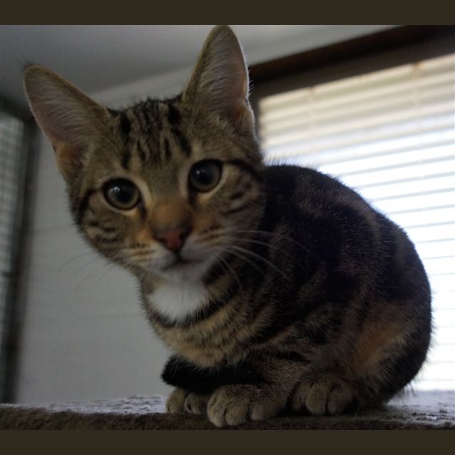 Photo of Tim Tam