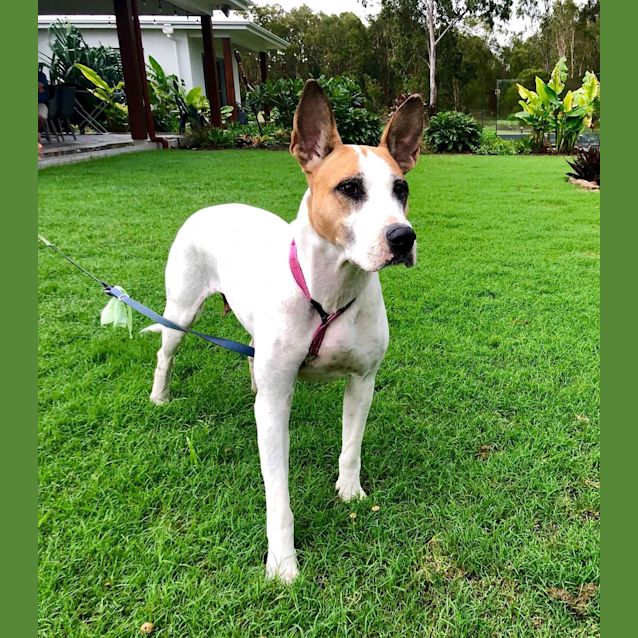 Photo of Lilly