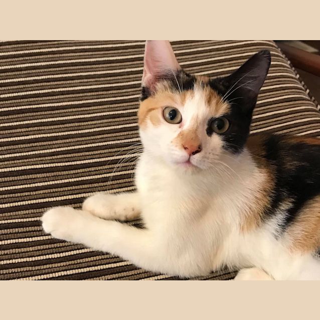 Photo of Daisy & Figgy