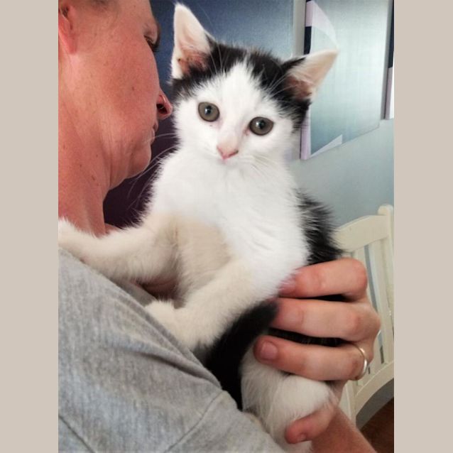 Photo of Rocket