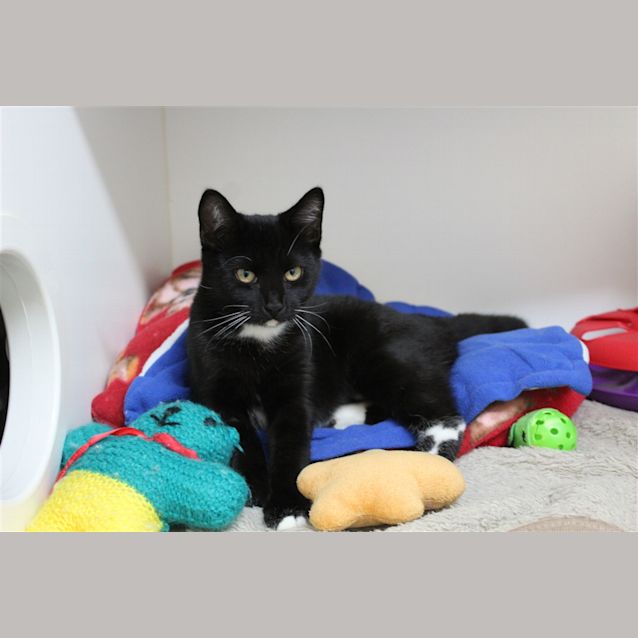 Photo of Sprocket 