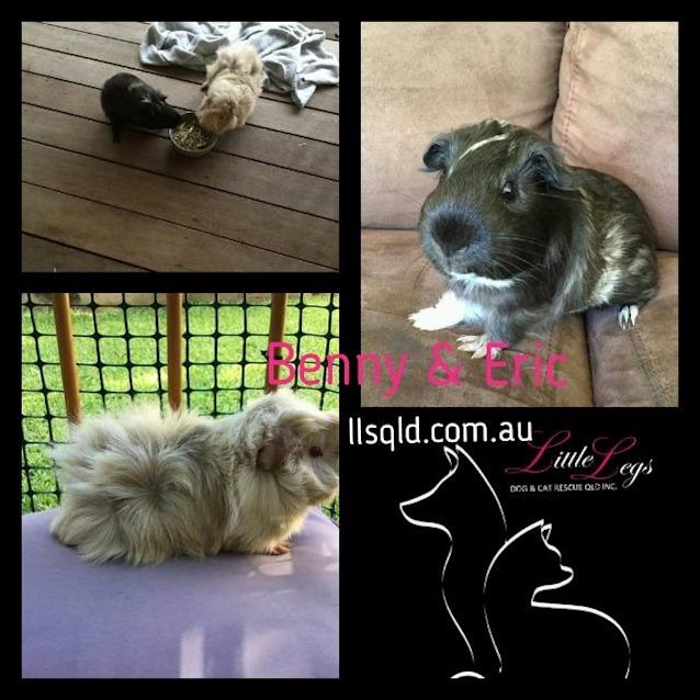 Photo of Benny, Eric