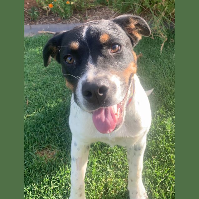 Photo of Arnya! *On Trial In Her New Home*