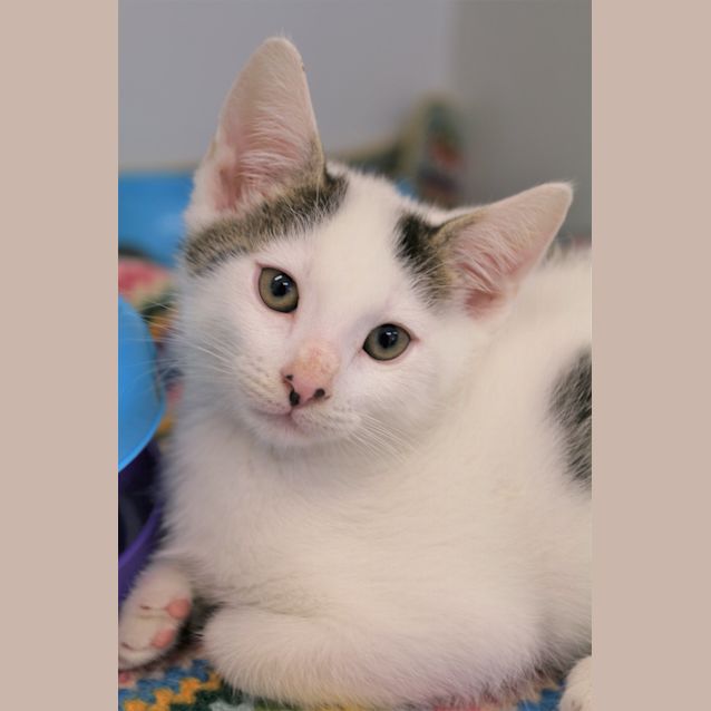 Photo of Walle