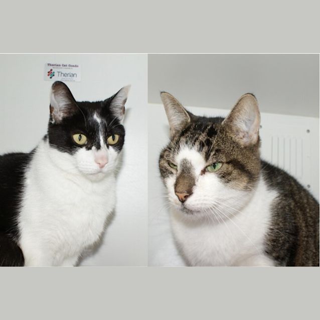 Photo of Baci & Suske