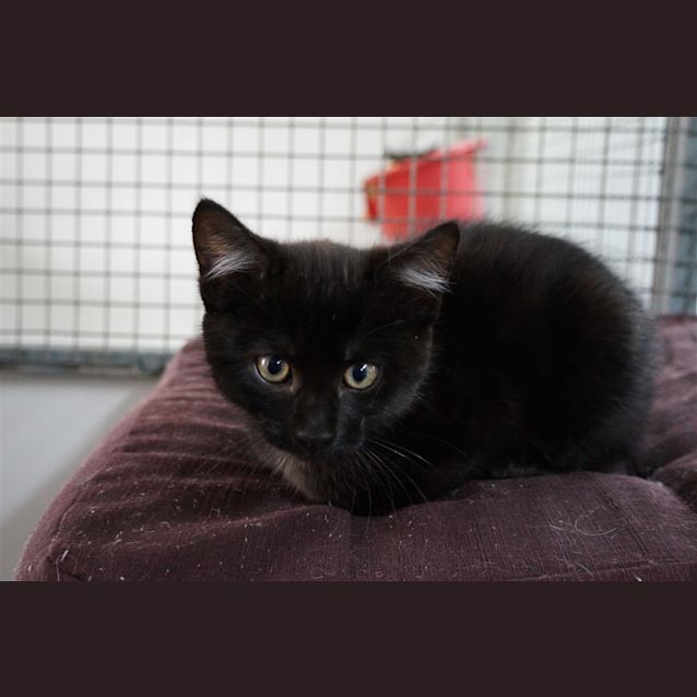 Photo of Hugo