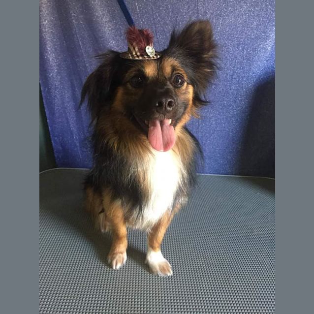 Photo of Scottie D0002