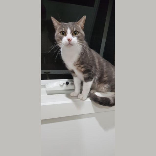 Photo of Jax