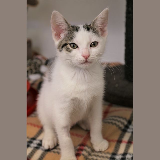 Photo of Snow White