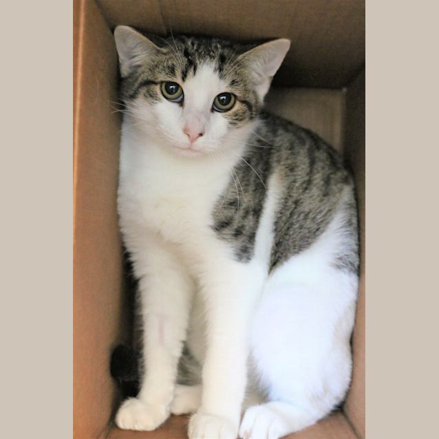 Photo of Carson