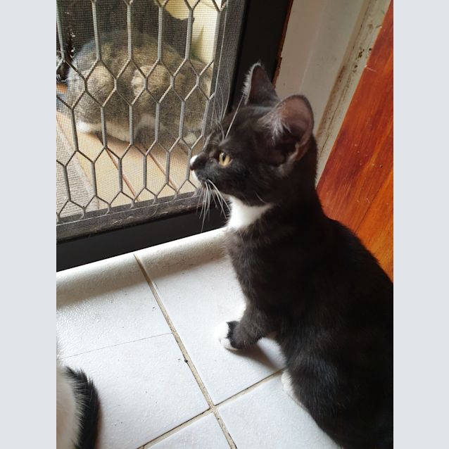 Photo of Bert