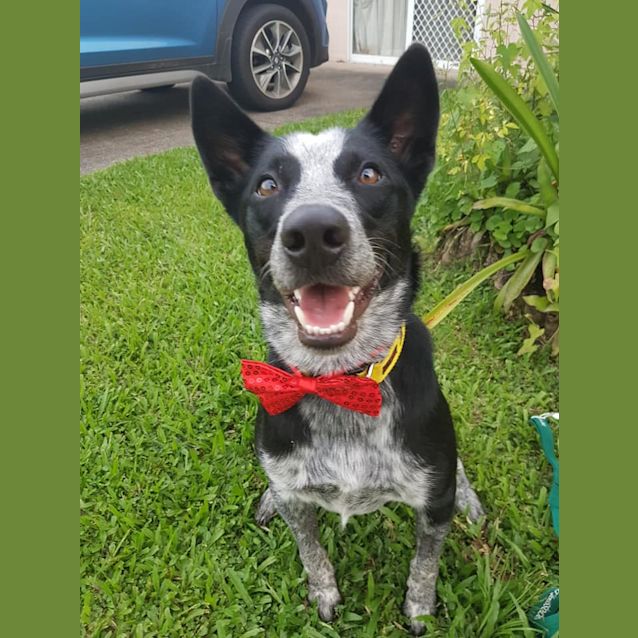 Photo of Stryker